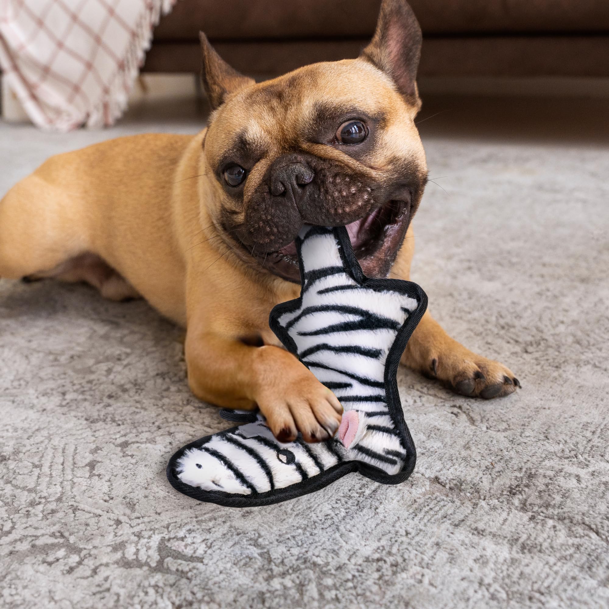 Sharlovy teething-friendly soft toy provides gum massage during chewing sessions.