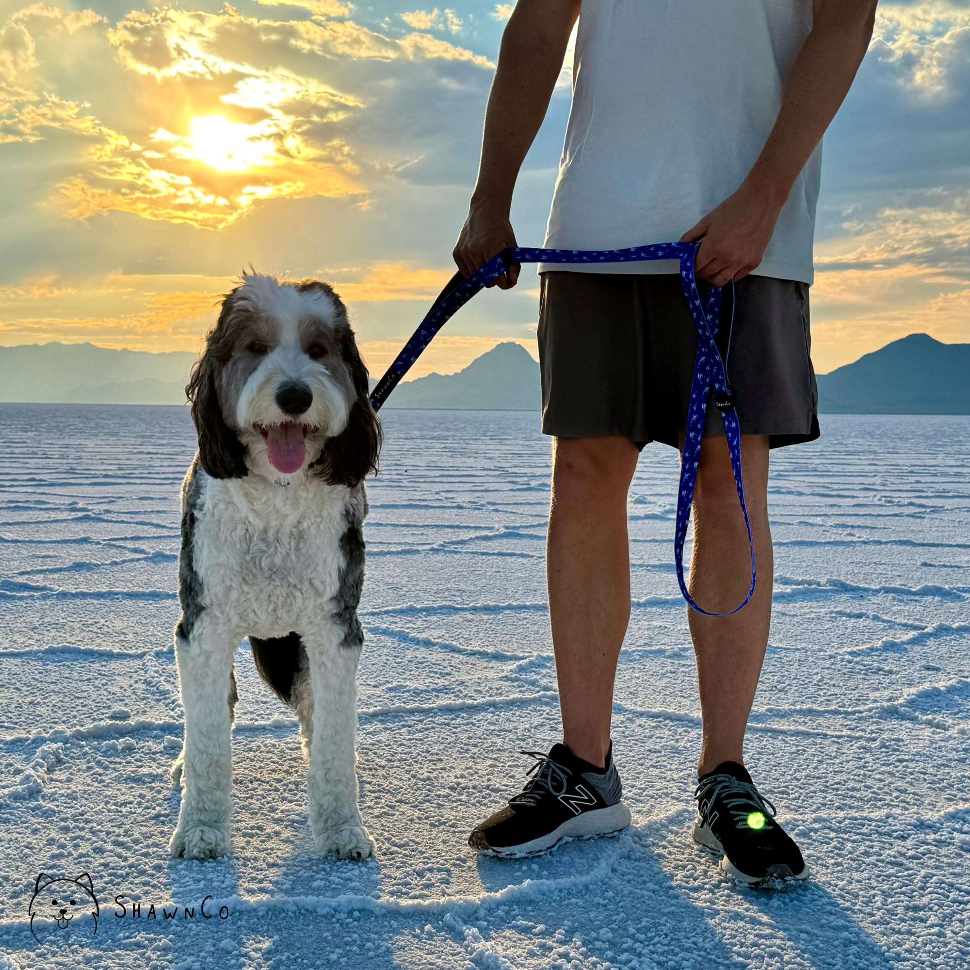 SHAWNCO Dream Walk nylon leash fits dogs of all sizes