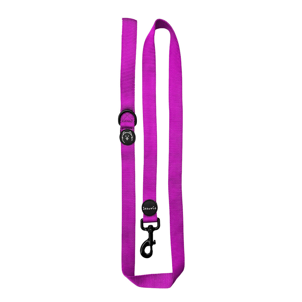 ShawnCo Dream Walk leash in orchid color, durable nylon for daily adventures.