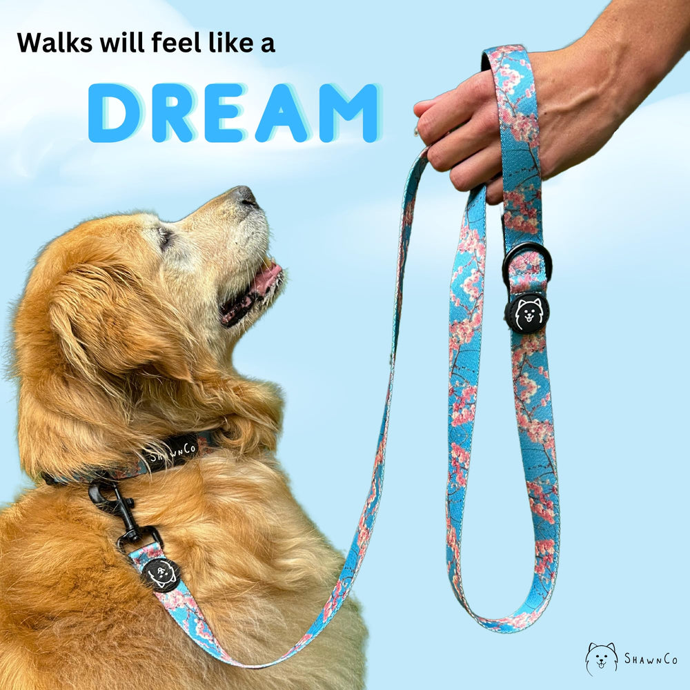 ShawnCo Dream Walk leash proudly made in the USA.