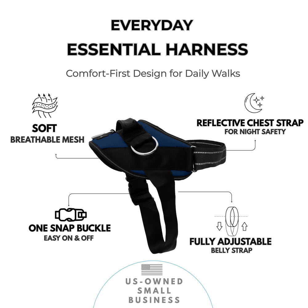 ShawnCo harness with three leash clips enables versatile walking options