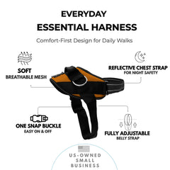 ShawnCo Essential harness with 3 leash points improves control during training sessions.