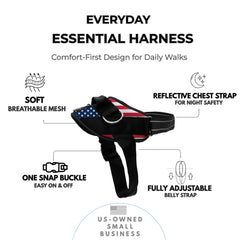 SHAWNCO harness shows 3 leash clips during a park training session for versatile control.