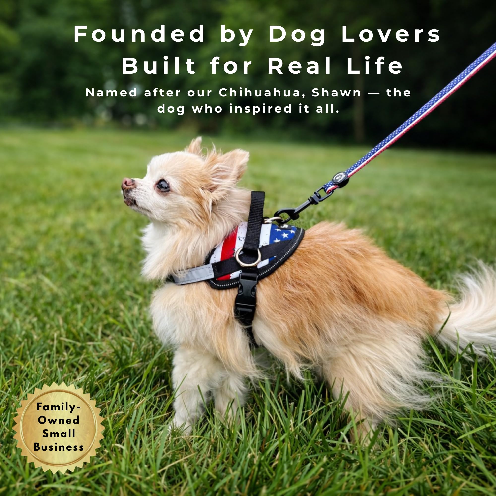 SHAWNCO Essential Harness worn during a hike for secure, comfortable outdoor outing.