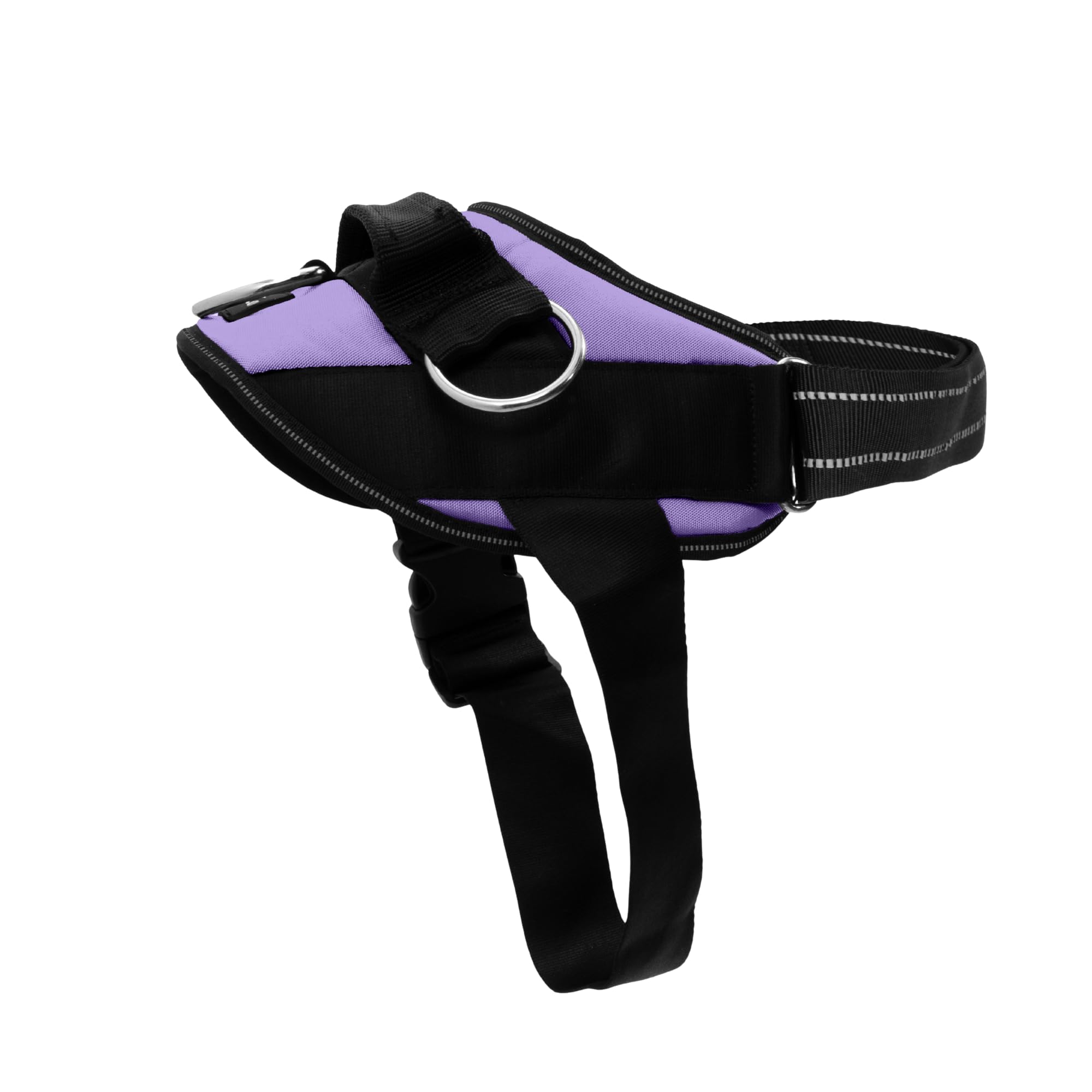 ShawnCo Essential Harness no-pull clip for safer walking and control.
