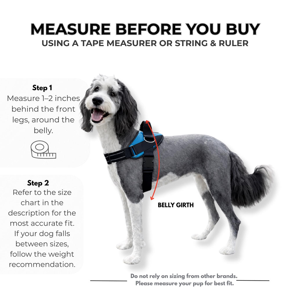 ShawnCo reflective trim outlines the harness in low light for safety