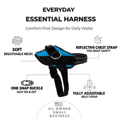 Three leash clip configurations for no-pull training with ShawnCo.