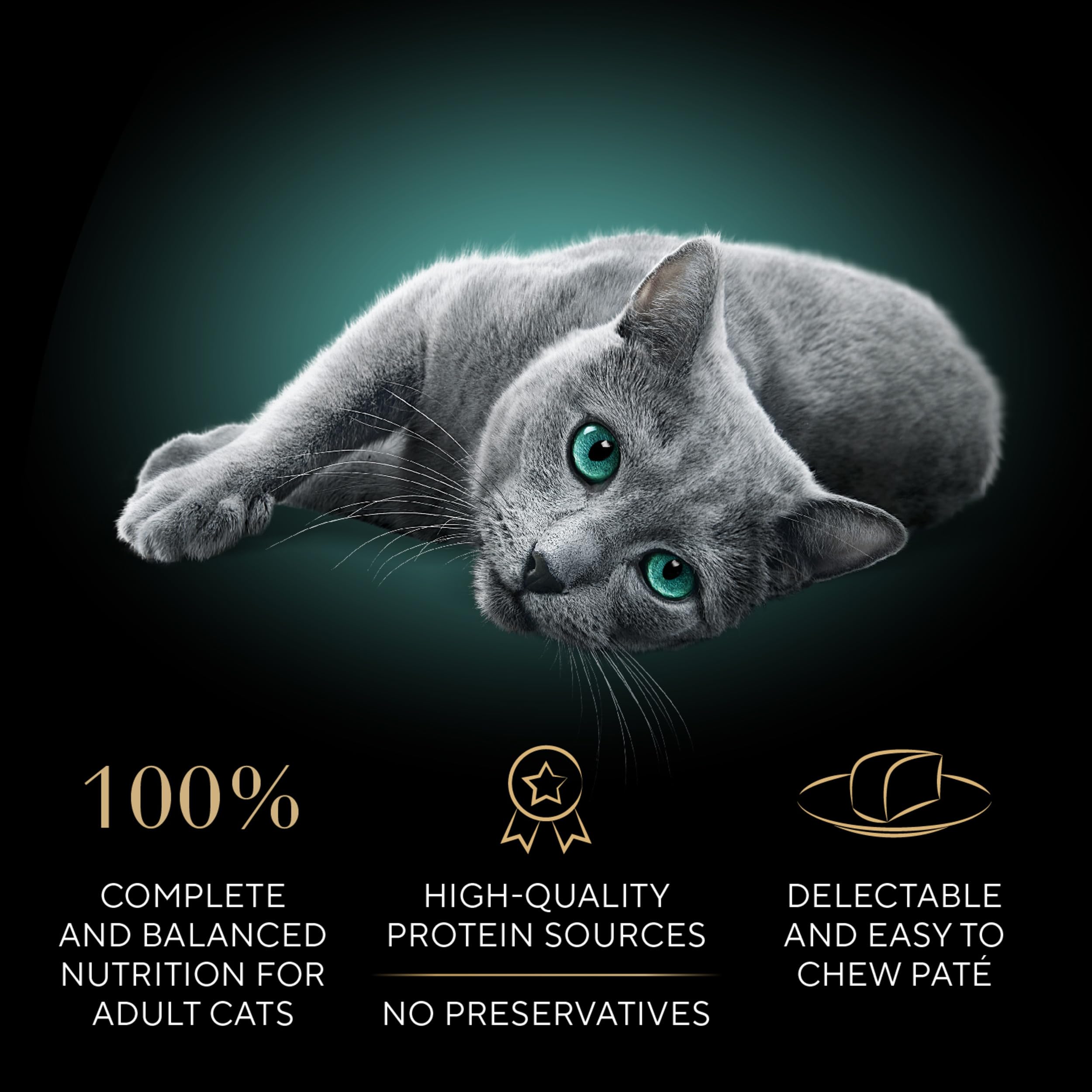 SHEBA beef pâté entree serving highlights a savory option for all life stages.