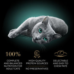 SHEBA beef pâté entree serving highlights a savory option for all life stages.