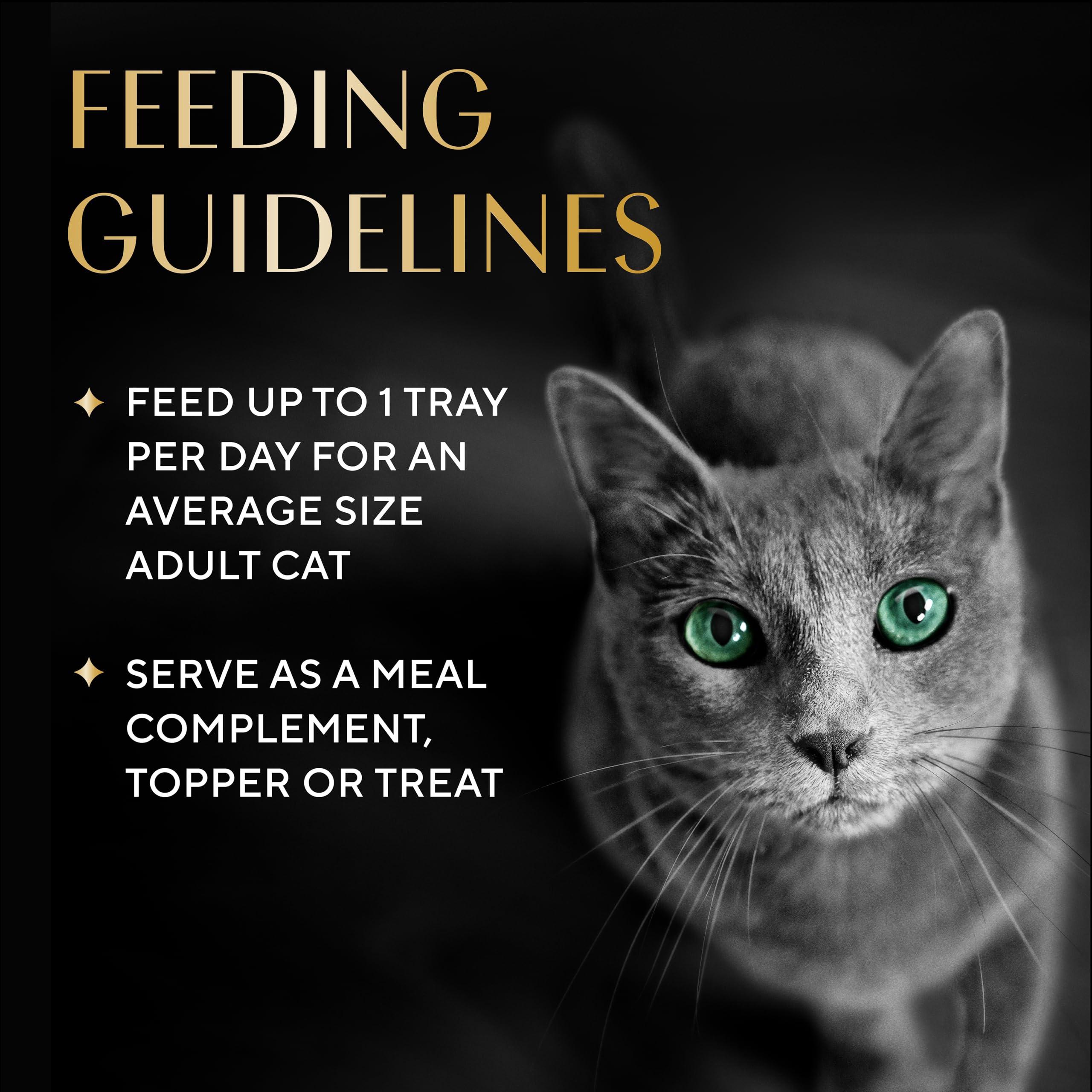 Hydration-friendly treat option that pairs with daily cat meals.