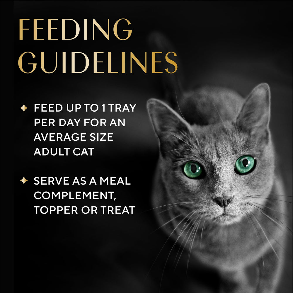 Hydration-friendly treat option that pairs with daily cat meals.