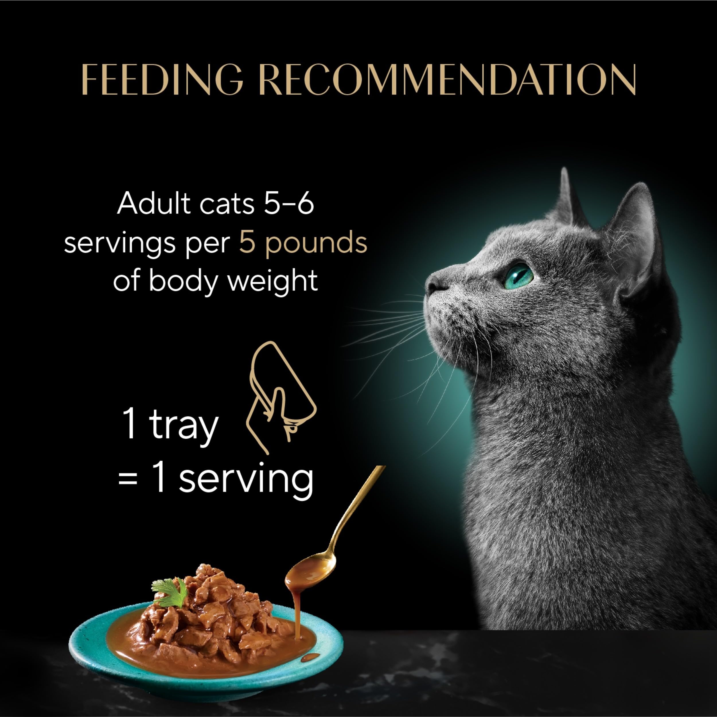 Real meat pieces coated in decadent gravy from Sheba Gravy Indulgence