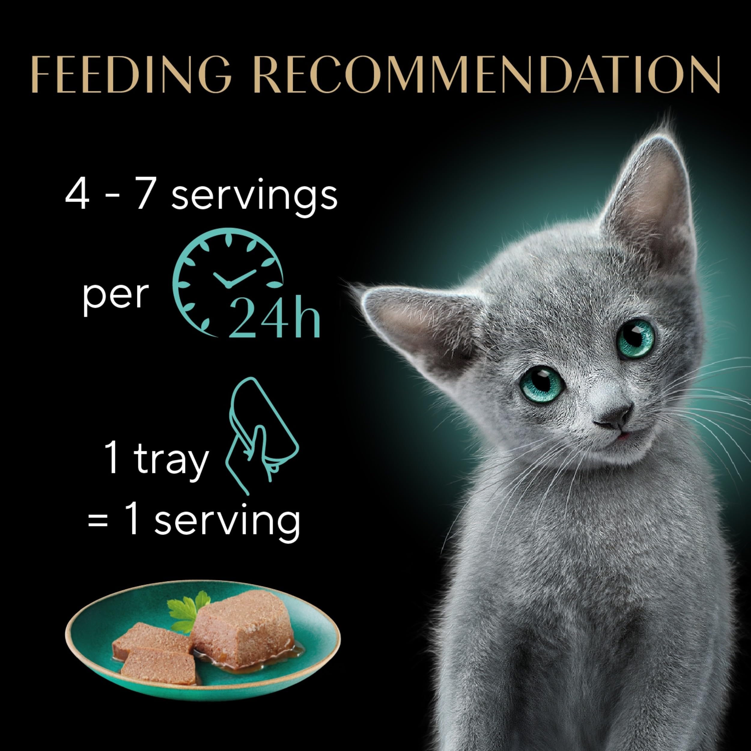 Sheba kitten salmon recipe tray showing moisture-rich formula