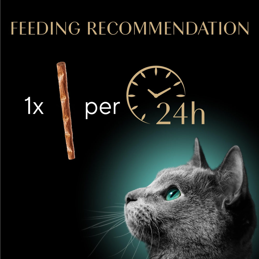 Cat enjoying a tender stick—soft texture for easy chewing and bonding.