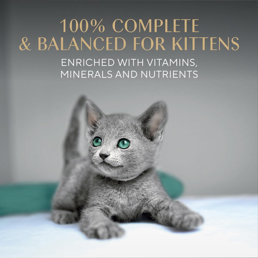 Silky texture of Sheba kitten pate on a smooth tray.