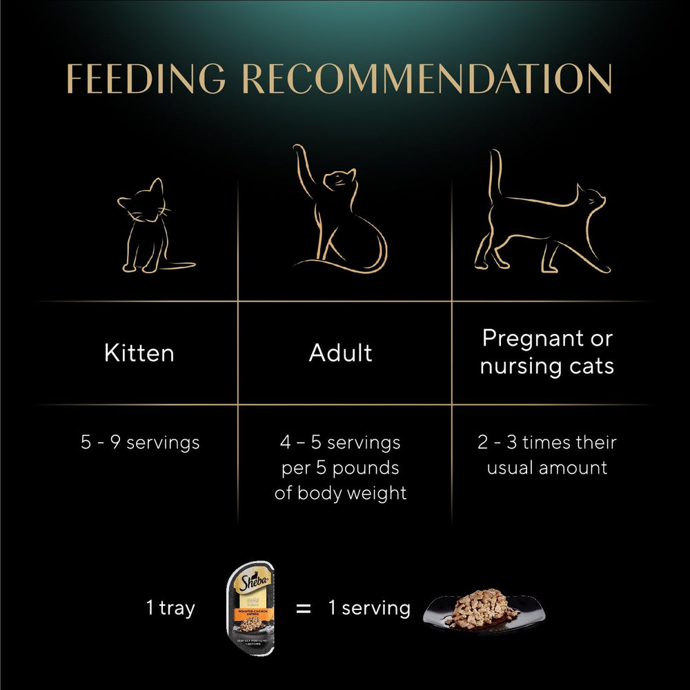 Sheba portion-control design supports predictable feeding routines
