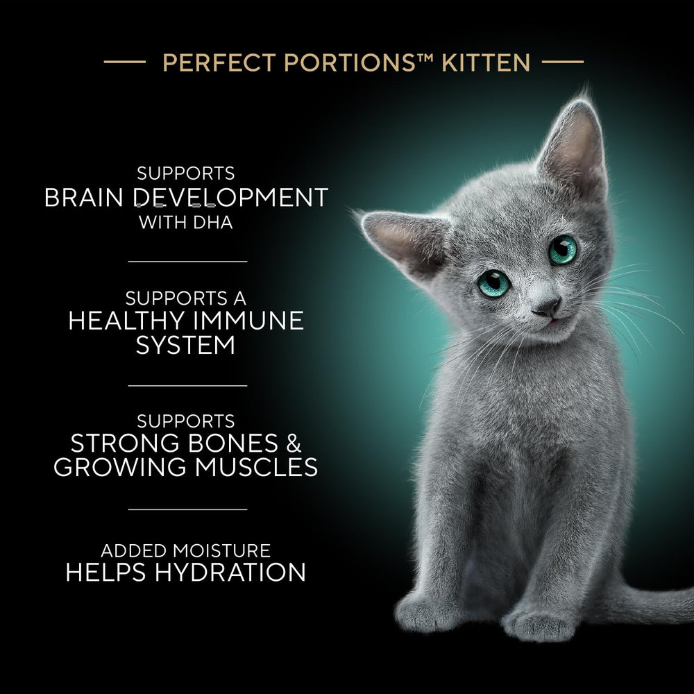 Sheba kitten serving tray showing portion control