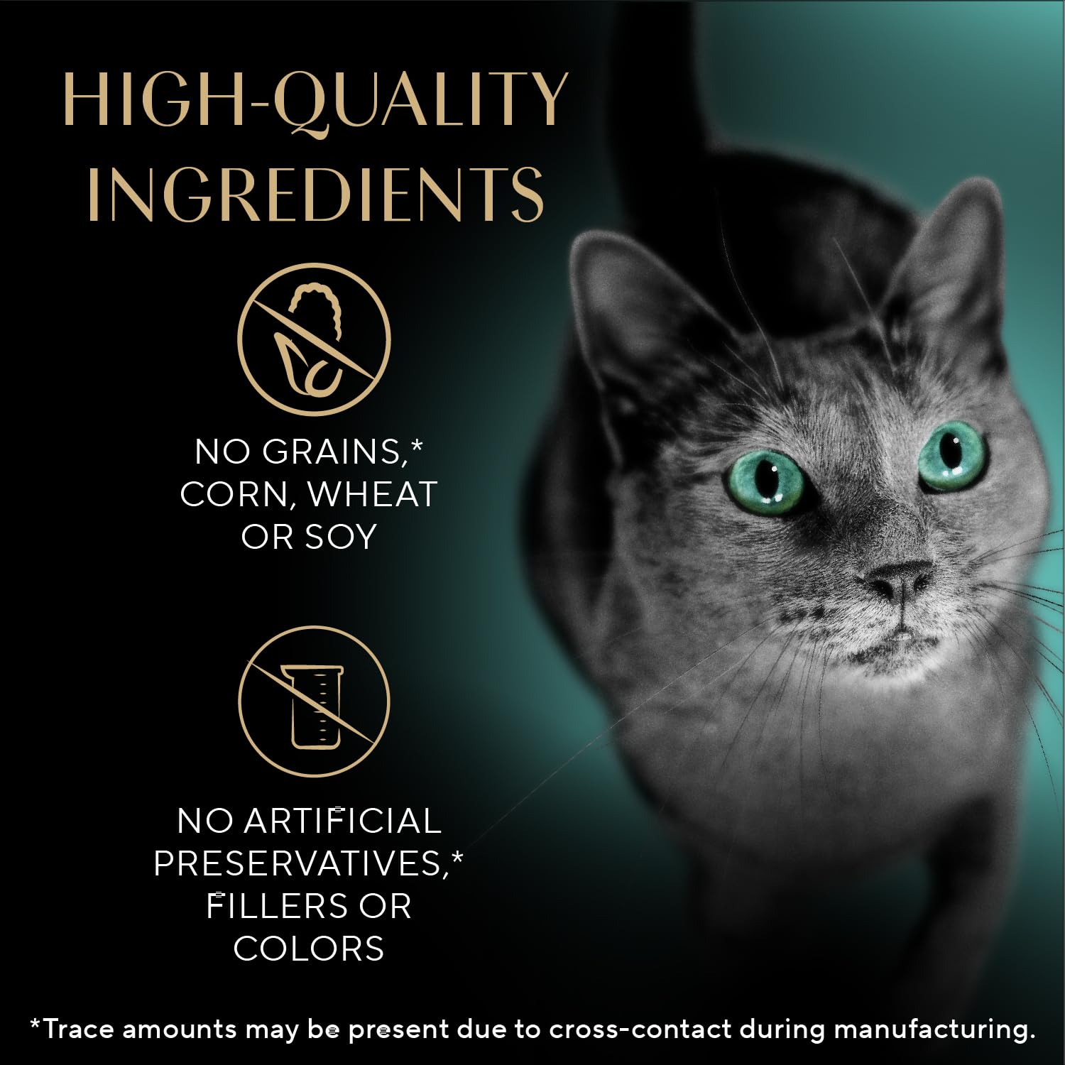 Sheba Premium Puree cat bonding moment highlights shared treat time