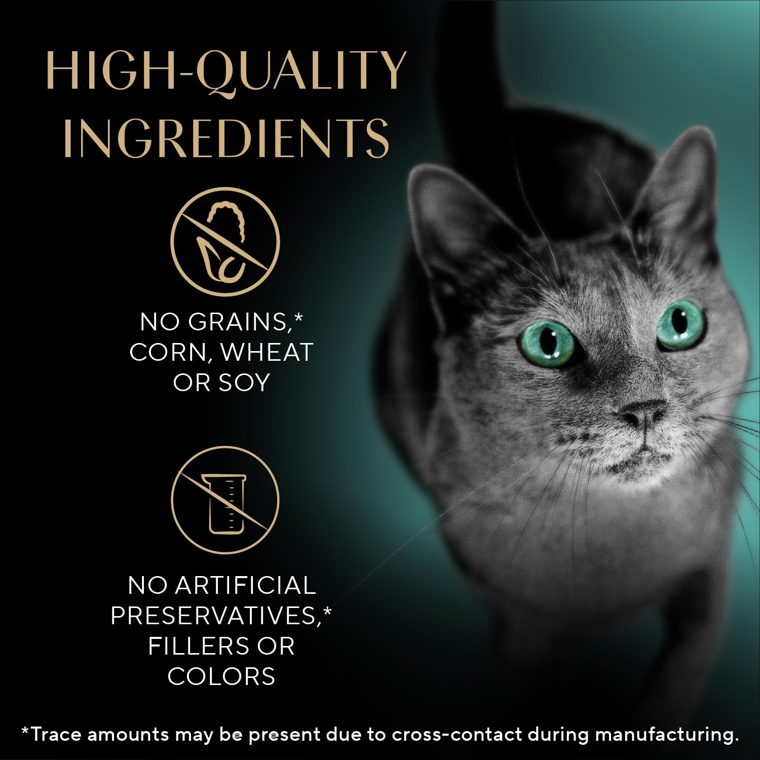 Sheba Premium Puree Roasted Chicken bonding moment with cat during treat time