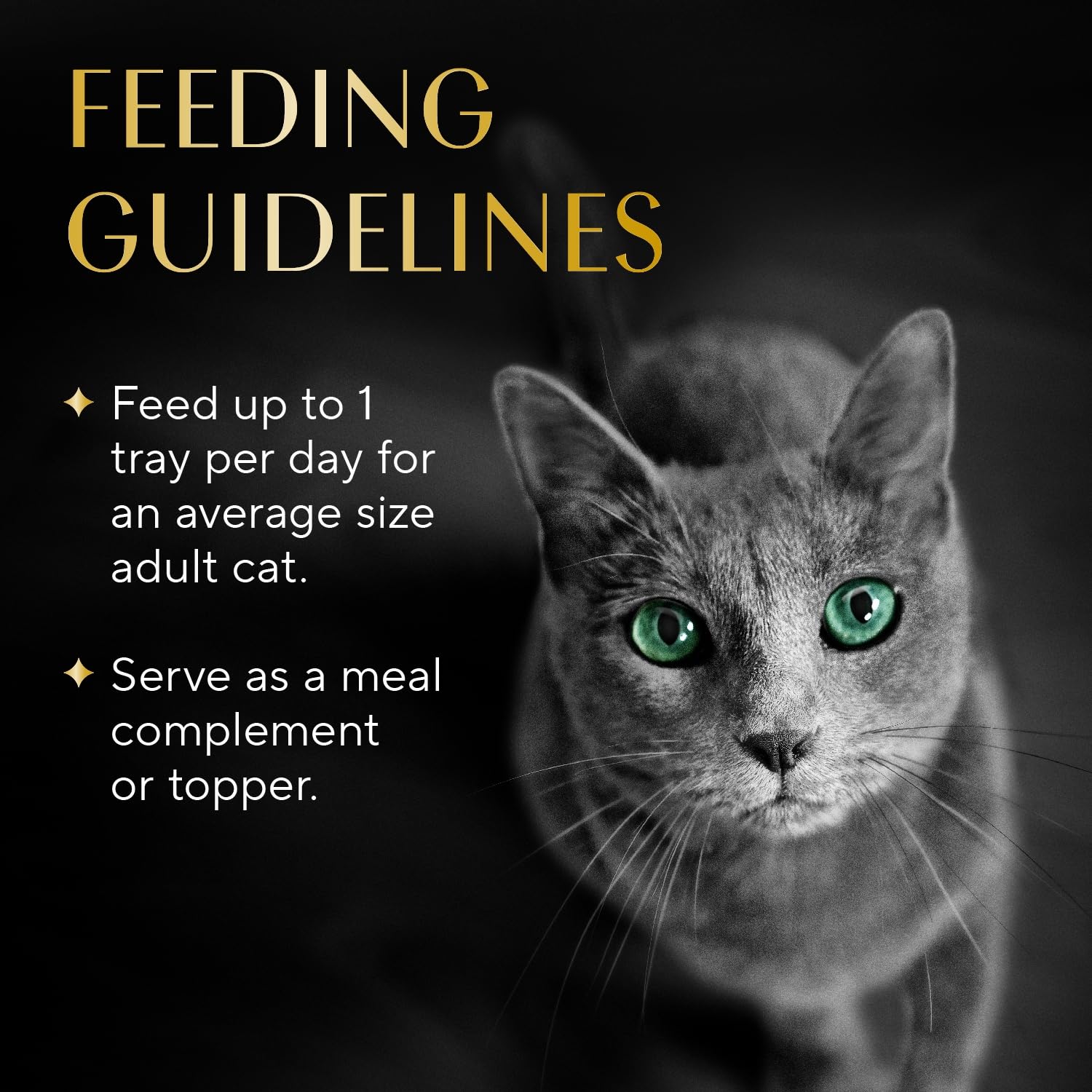 Gourmet topper: Sheba Selections Filets in Broth elevates everyday meals.