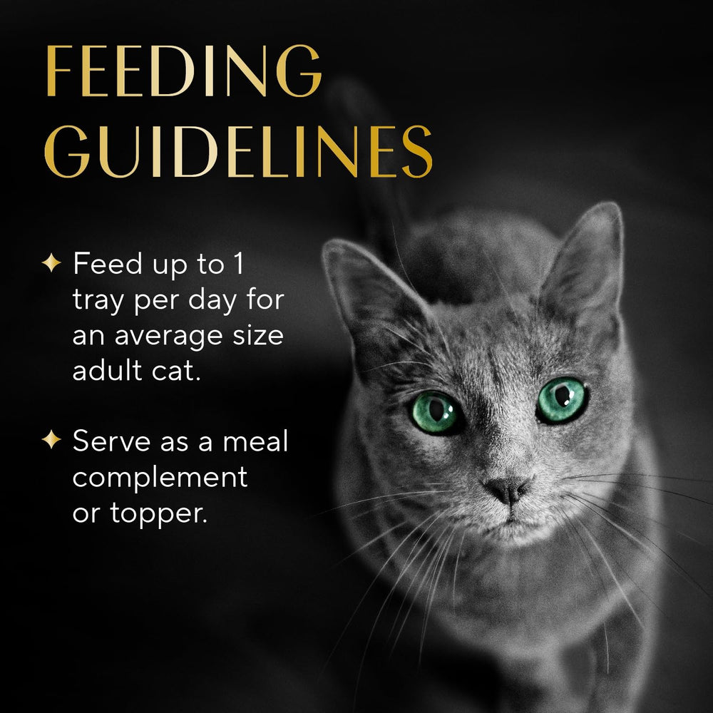 Gourmet topper: Sheba Selections Filets in Broth elevates everyday meals.