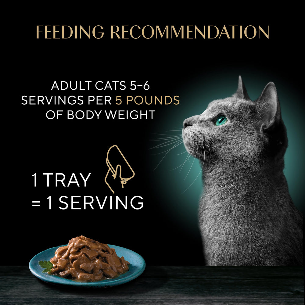 Sheba soft wet cat food in twin-pack trays.