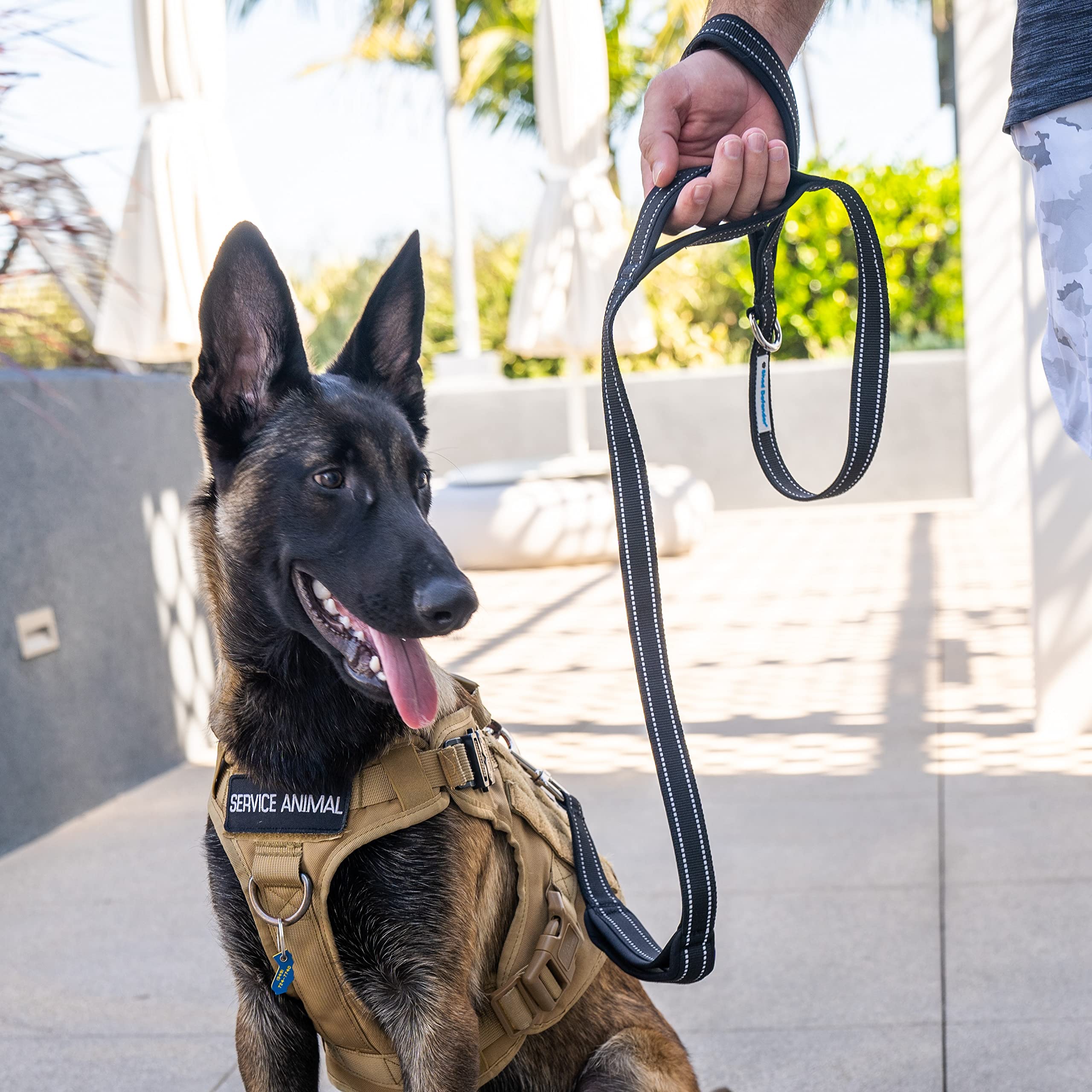 Shed Defender top D-ring for easy accessory attachment on the leash.