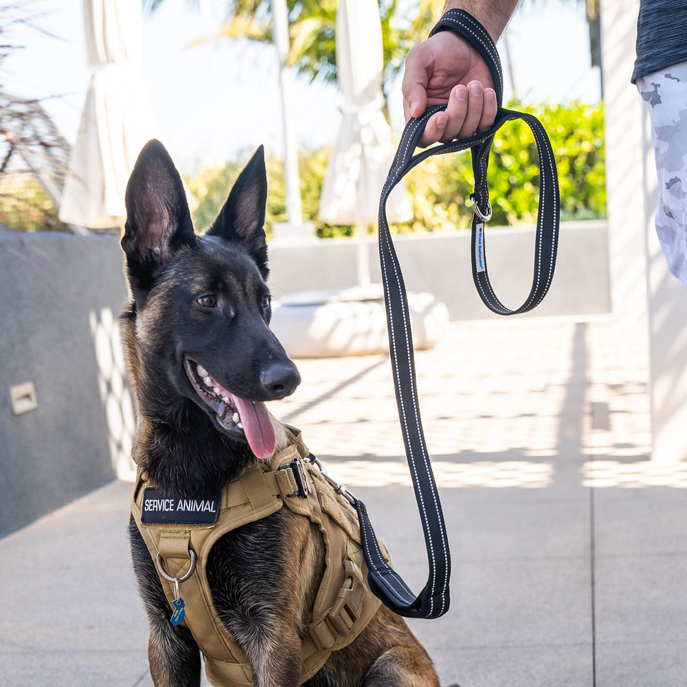 Shed Defender top D-ring for easy accessory attachment on the leash.