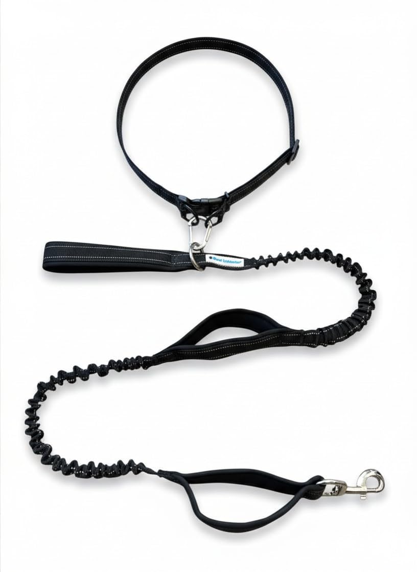 Shed Defender works with any leash for flexible hands-free control.