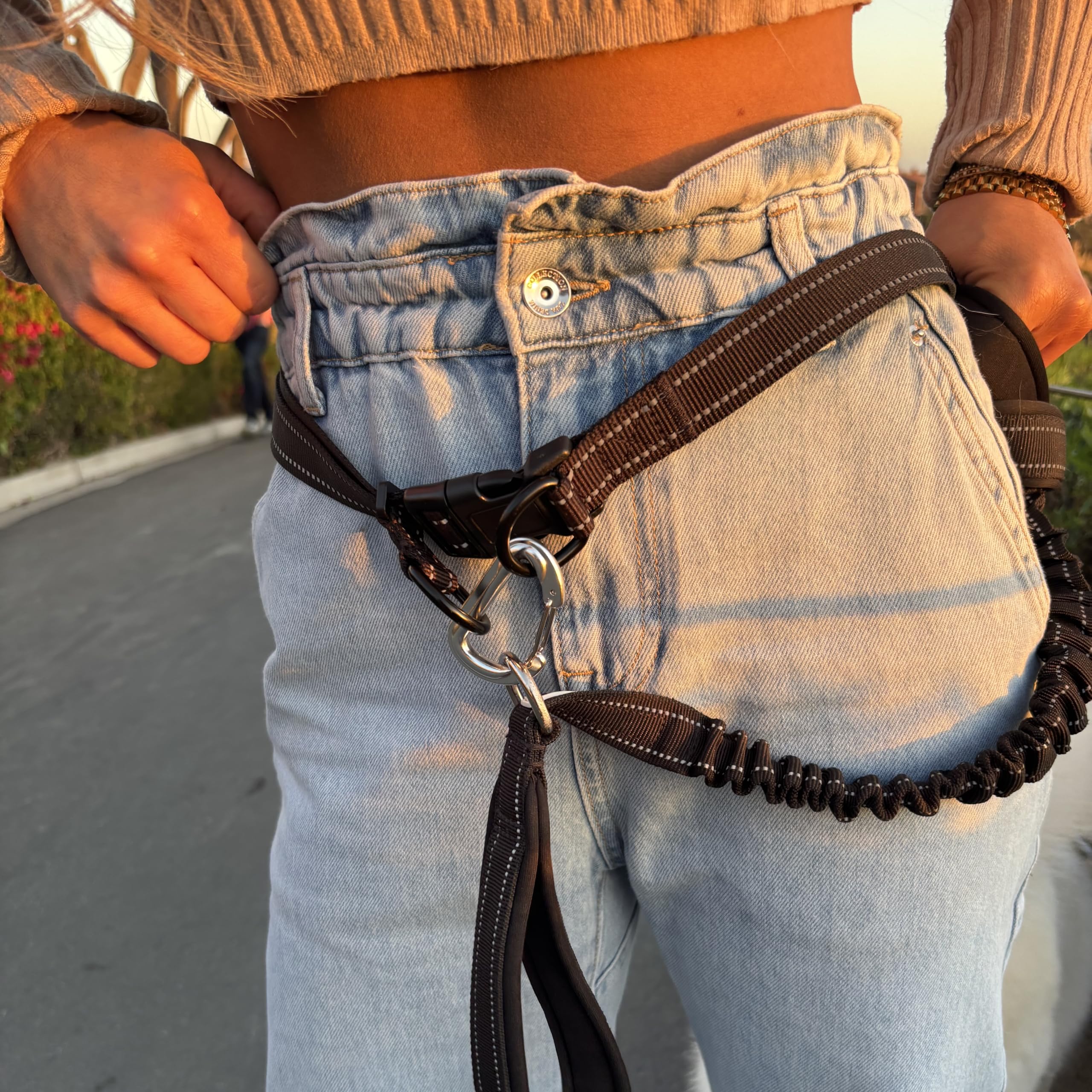Shed Defender reflective stitching improves night visibility on dog walks.