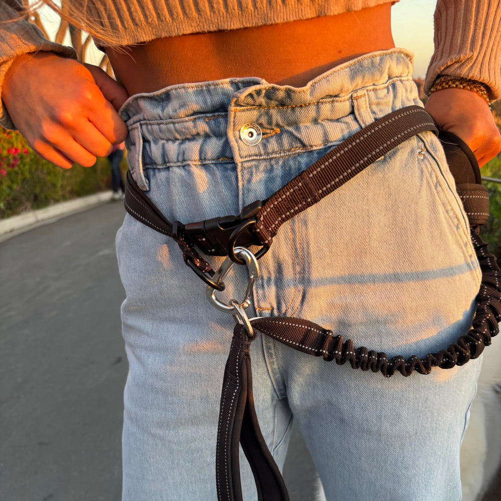 Shed Defender reflective stitching improves night visibility on dog walks.