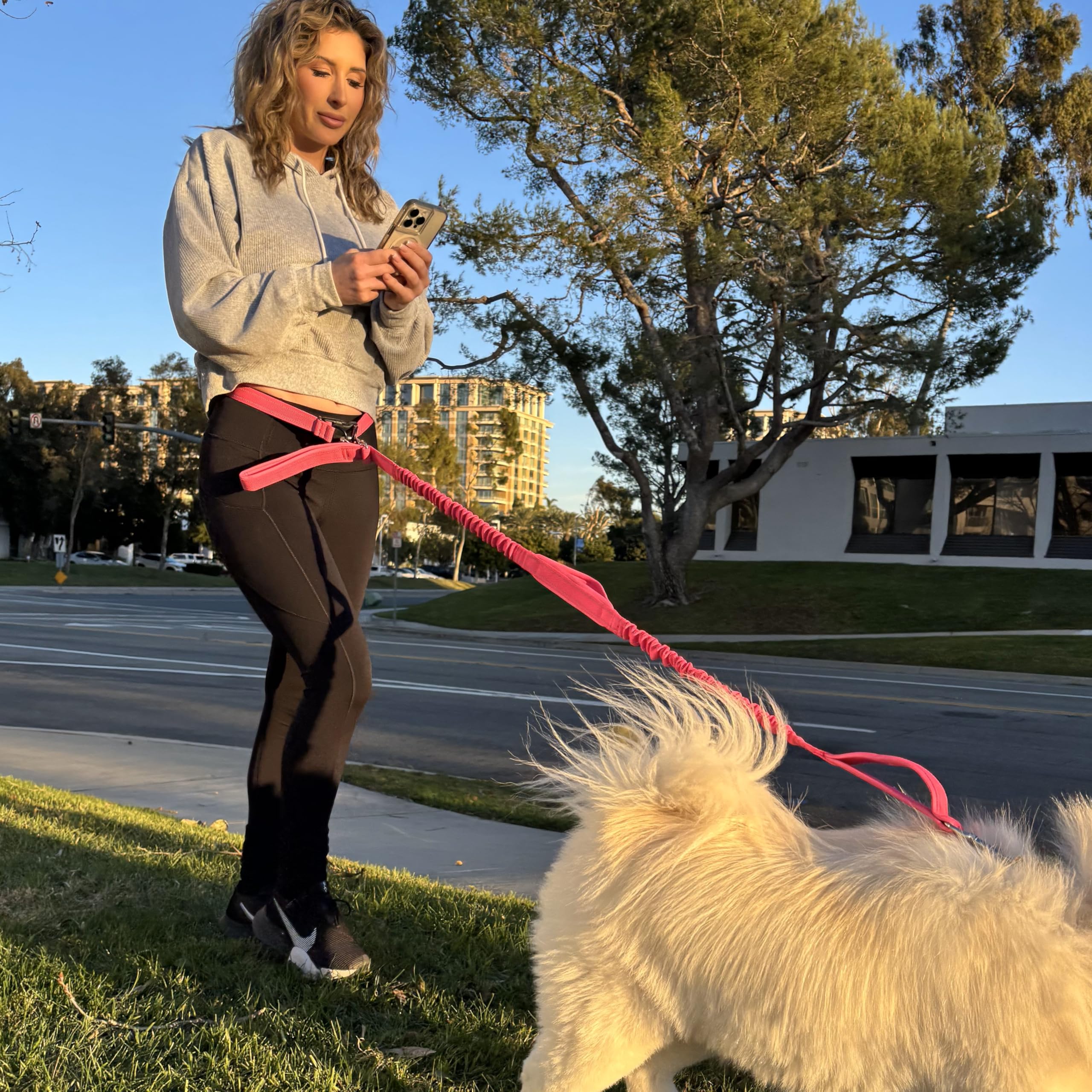 Shed Defender belt supports walking, jogging, and running with dogs.