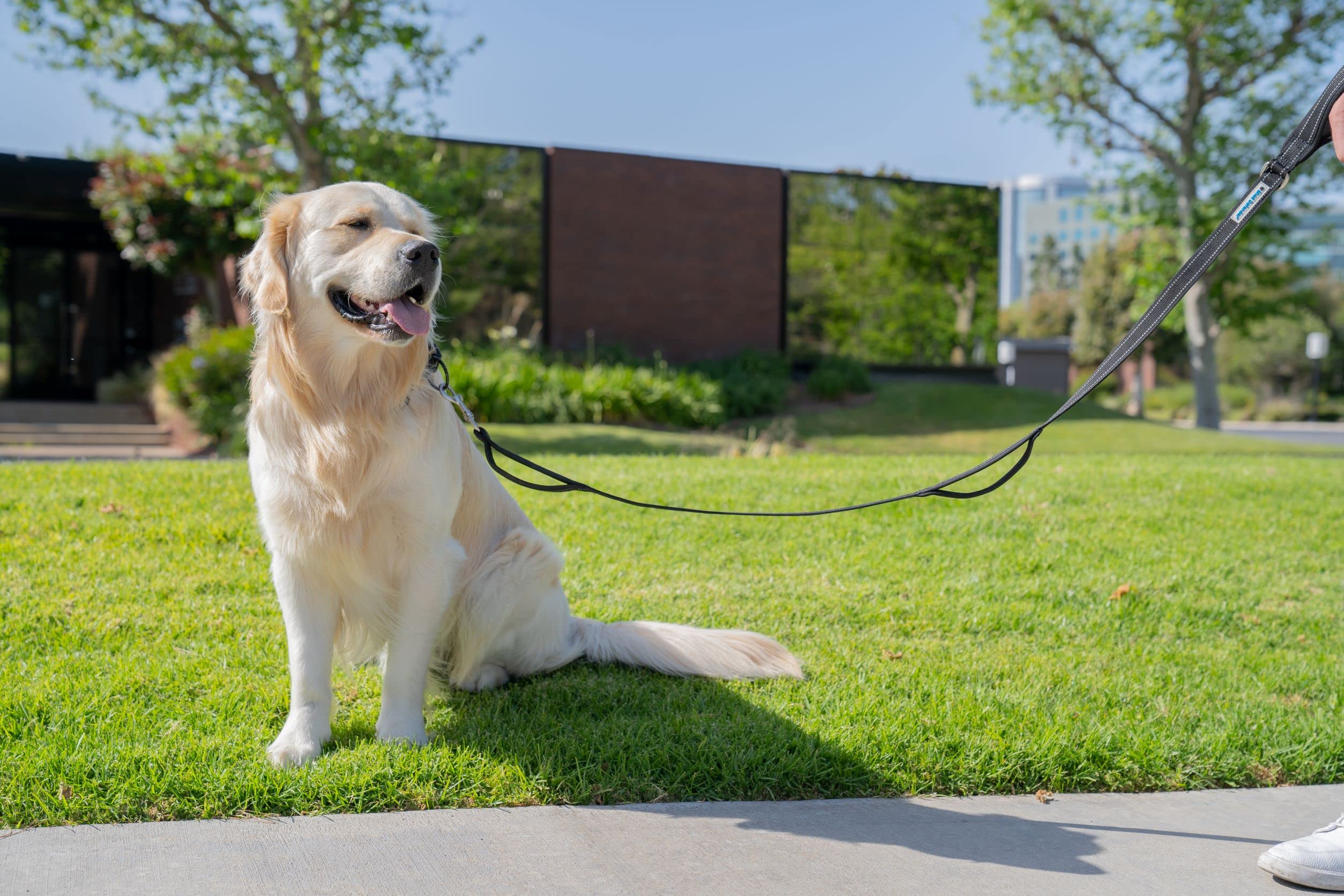 Shed Defender Paw It Forward program supports shelters with purchases.