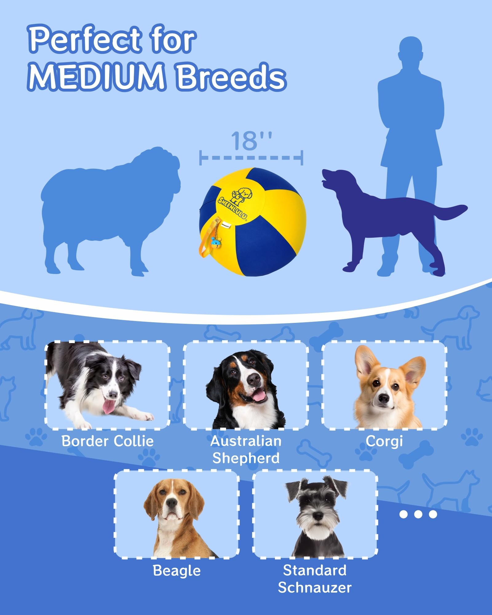 SHEENLULU blue-yellow color-block aids dog tracking.