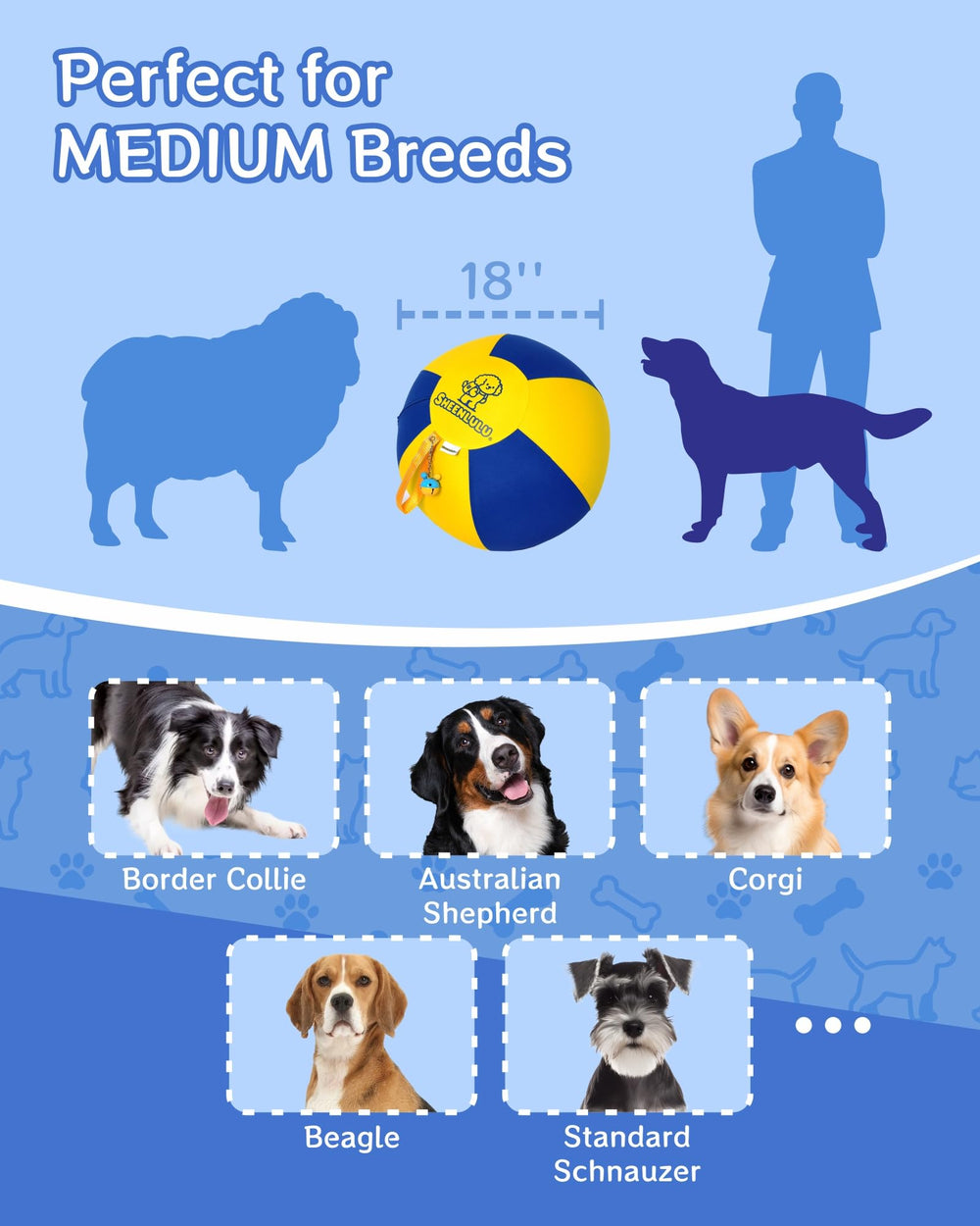 SHEENLULU blue-yellow color-block aids dog tracking.