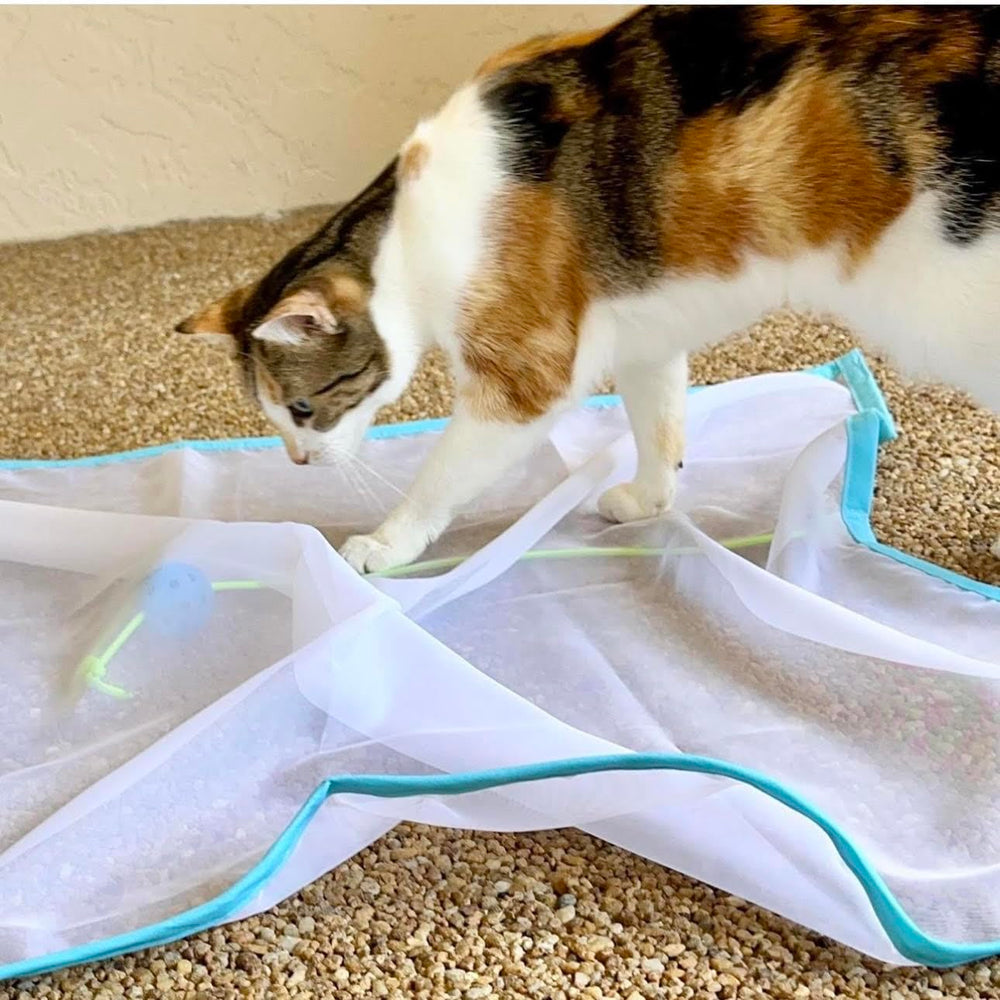 Sheer Fun For Cats playmat setup showing versatile use in a living space.