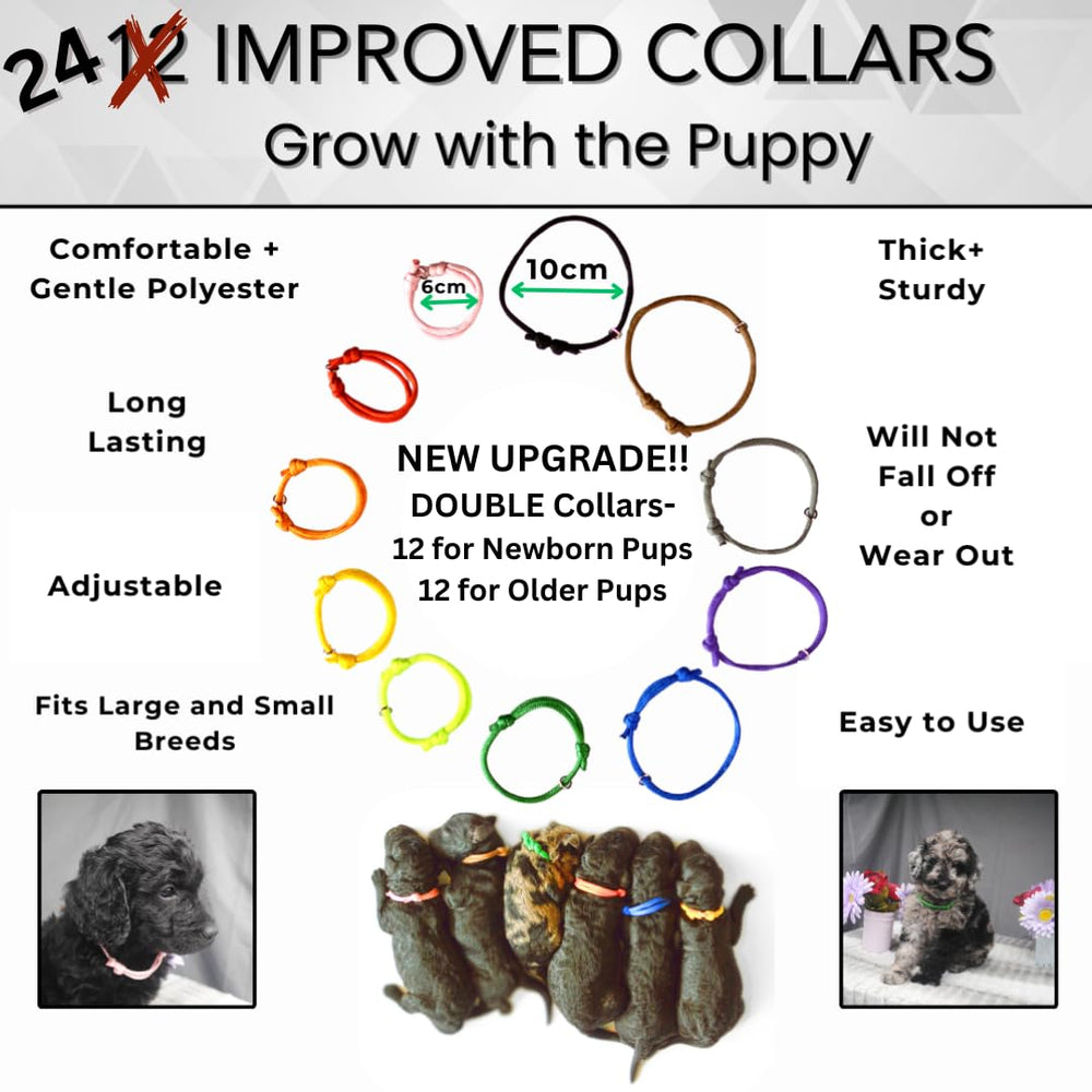 SHEFFIELD SS SHOP Expandable whelping collars on newborn puppies aid clear identification
