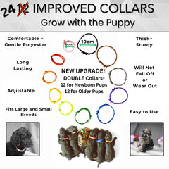 SHEFFIELD SS SHOP Expandable whelping collars on newborn puppies aid clear identification