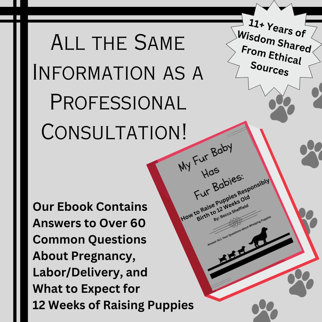 SHEFFIELD SS SHOP Litter identification collars help monitor individual puppies