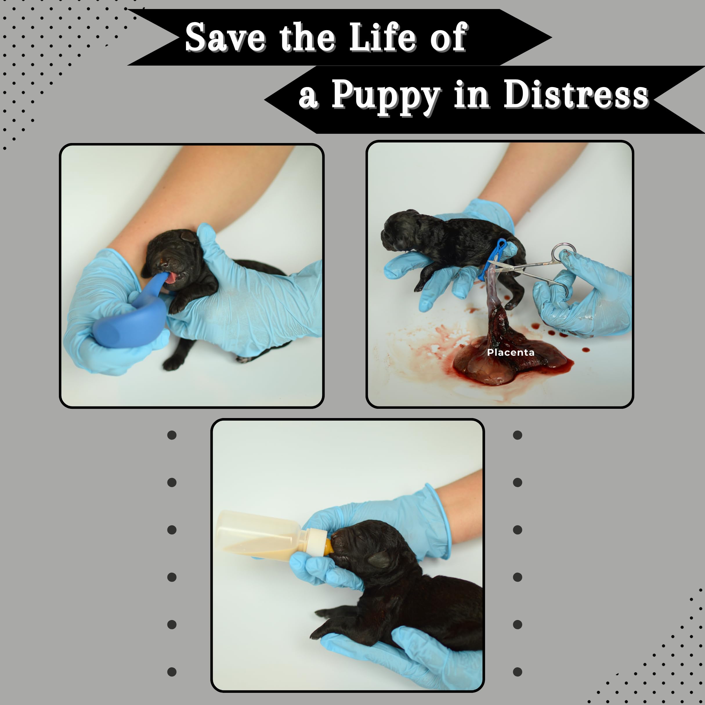 SHEFFIELD SS SHOP Health-monitoring records setup for puppy tracking