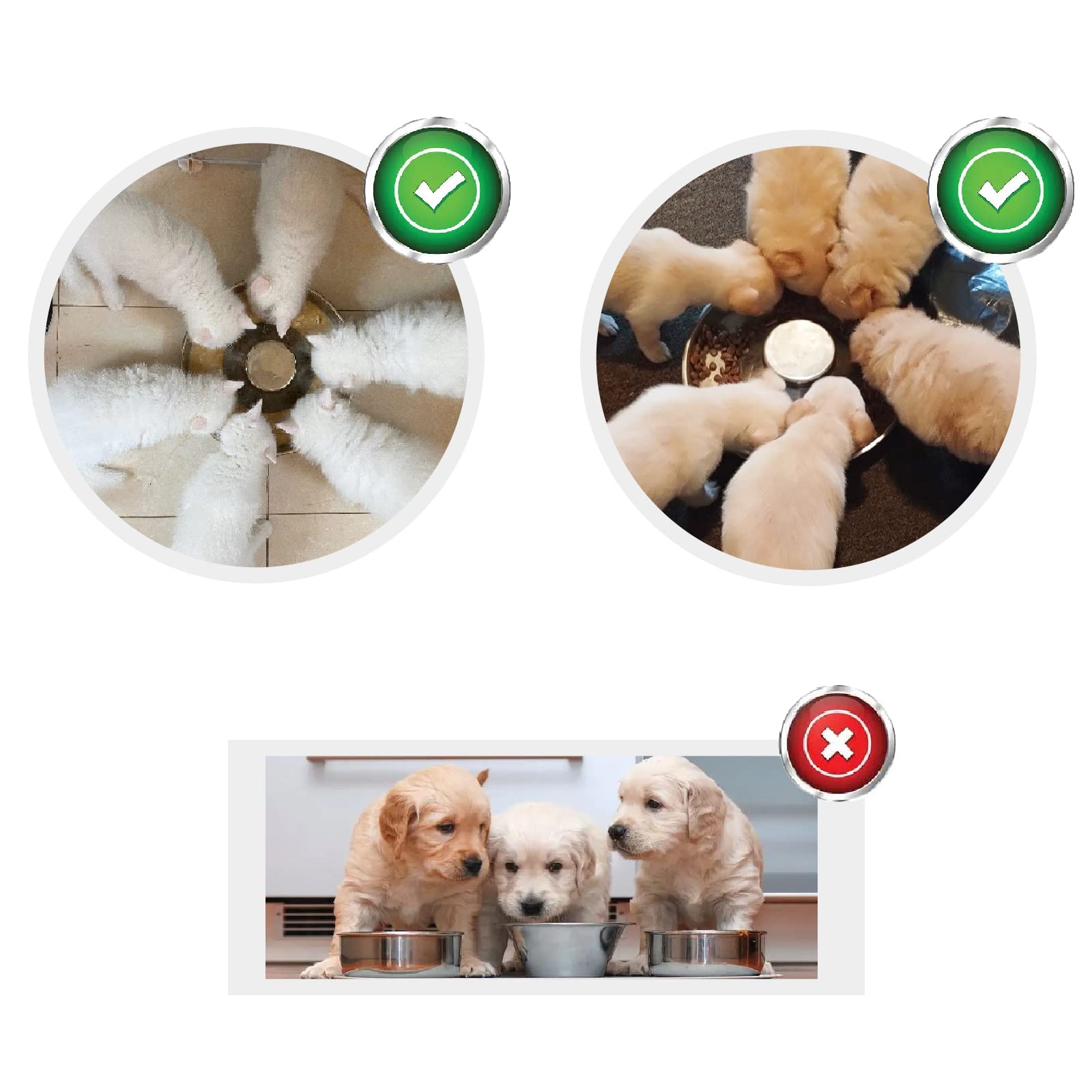 Sheldamy size-variations-diameter bowls accommodate small to large dogs for shared use.