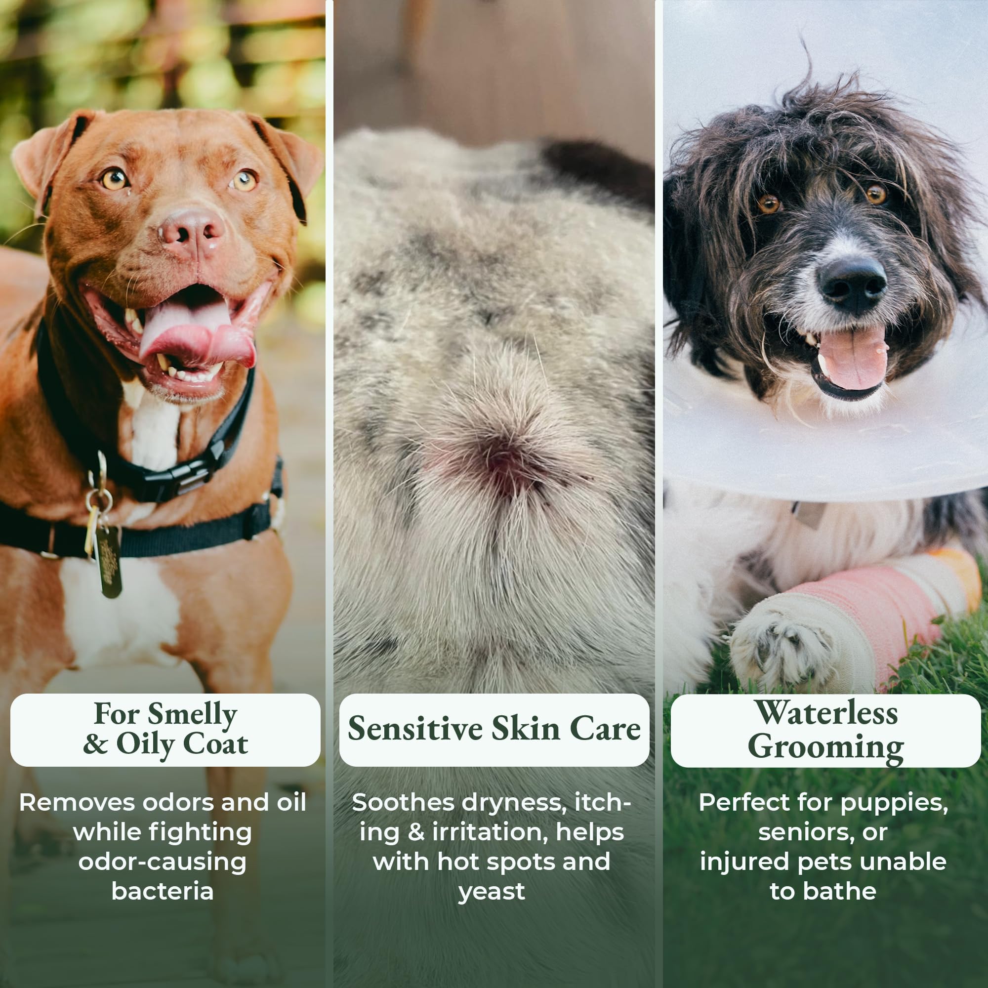ShelterBaby dry shampoo for dogs massage-application distributes powder gently for comfort.