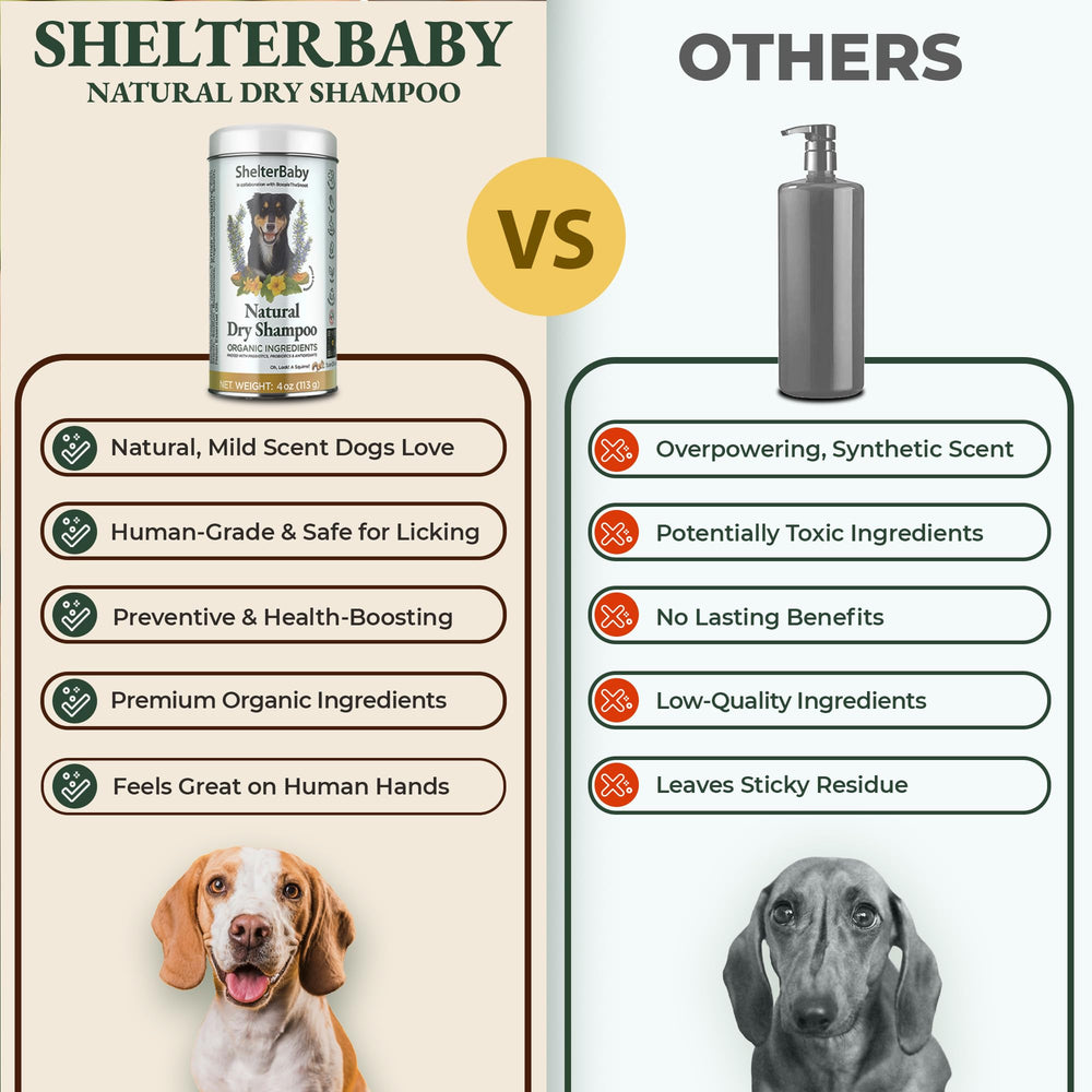 ShelterBaby dry shampoo for dogs paw-care cleanses irritated paws softly.