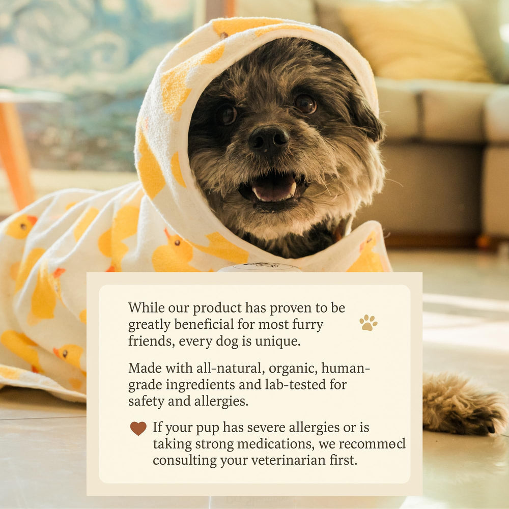 ShelterBaby dry shampoo for dogs powder-dusting provides easy touch-ups for itch relief.