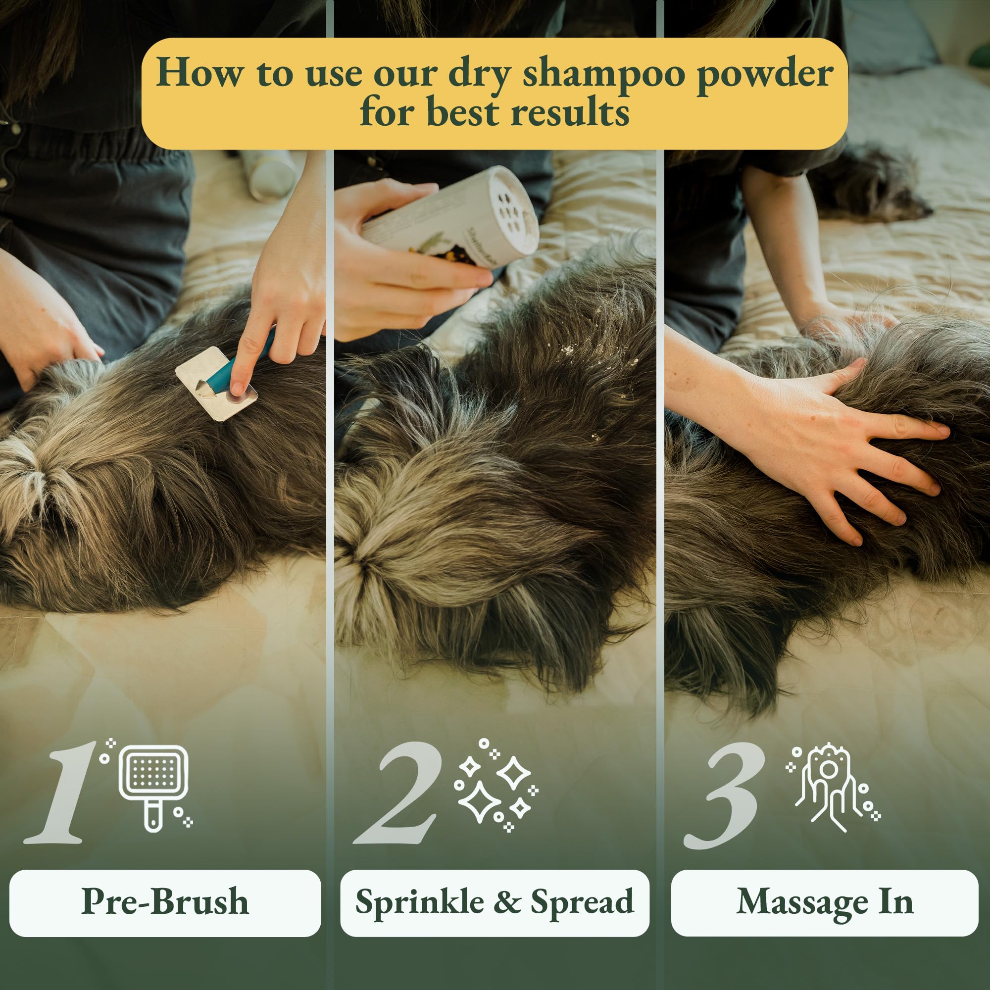 ShelterBaby dry shampoo for dogs probiotic-ingredient aids healthy skin balance.