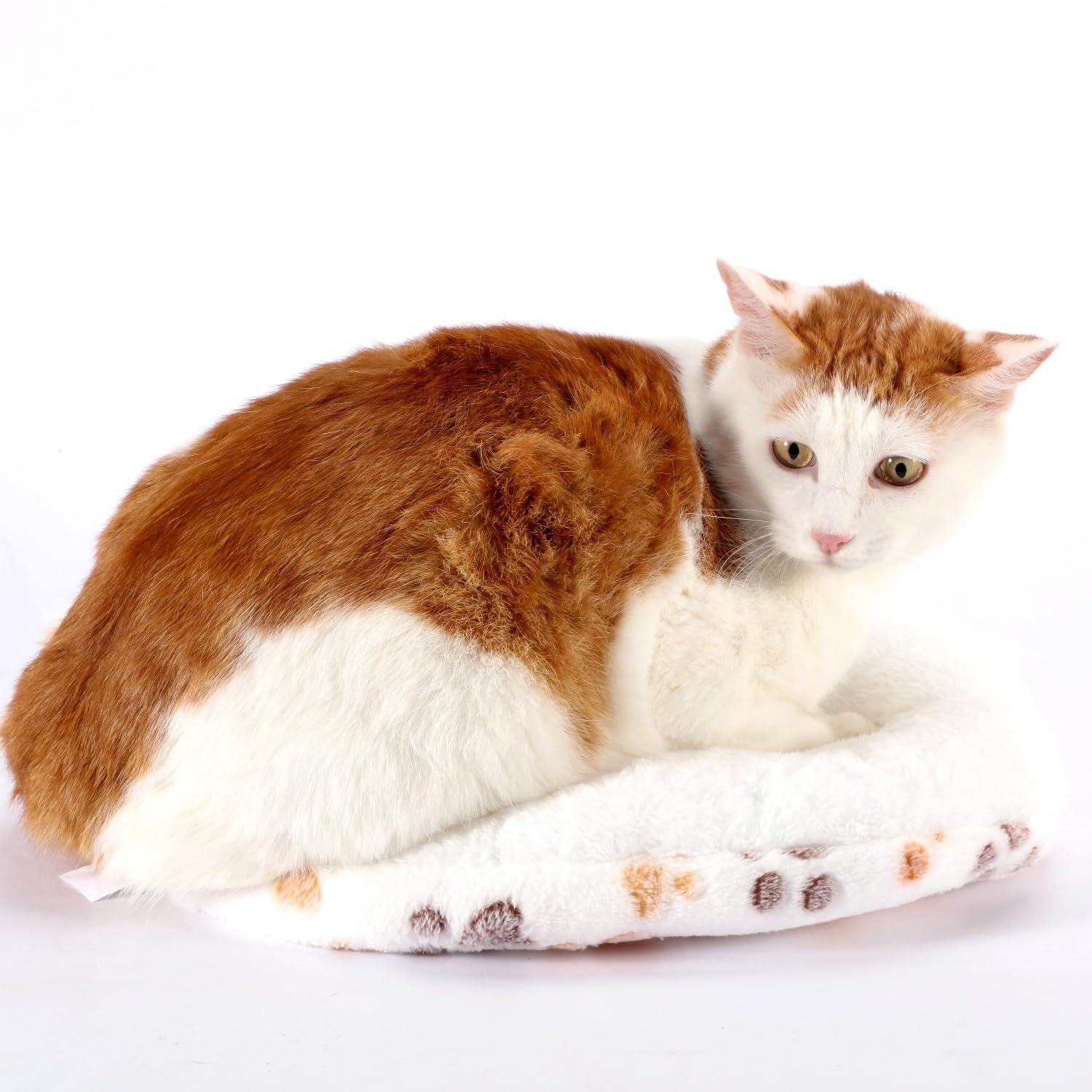 15-inch diameter SHENGOCASE cushion fits standard pet furniture