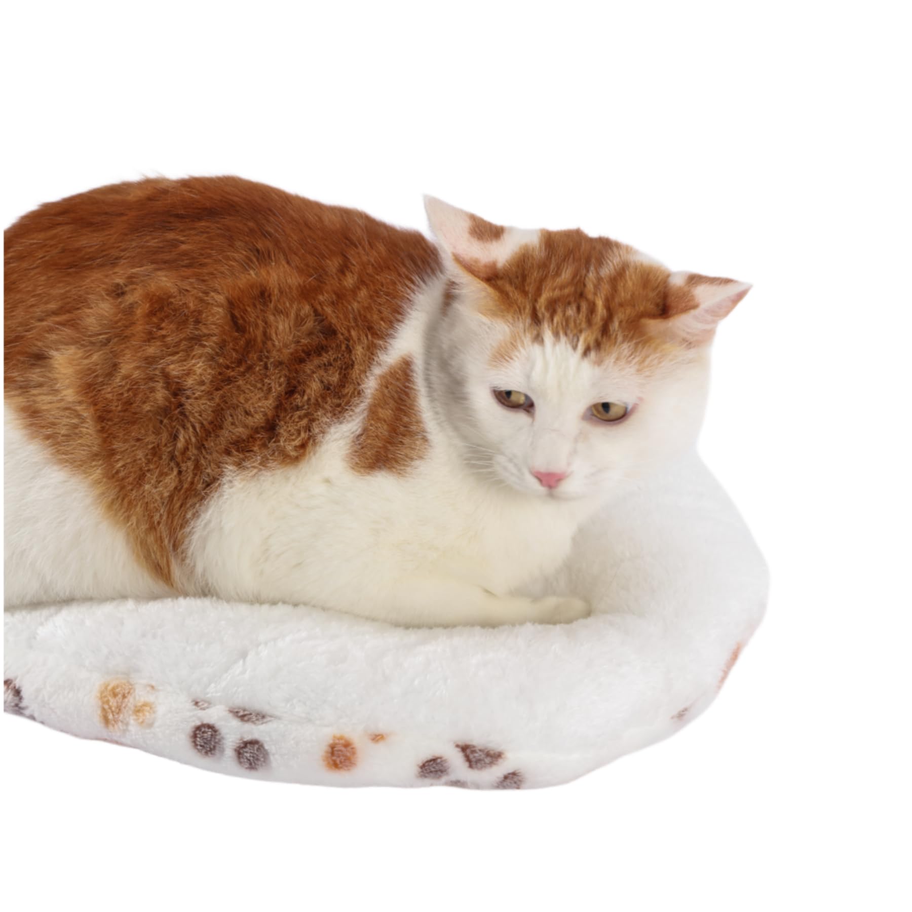 SHENGOCASE padding for cat houses, kennels, and perches