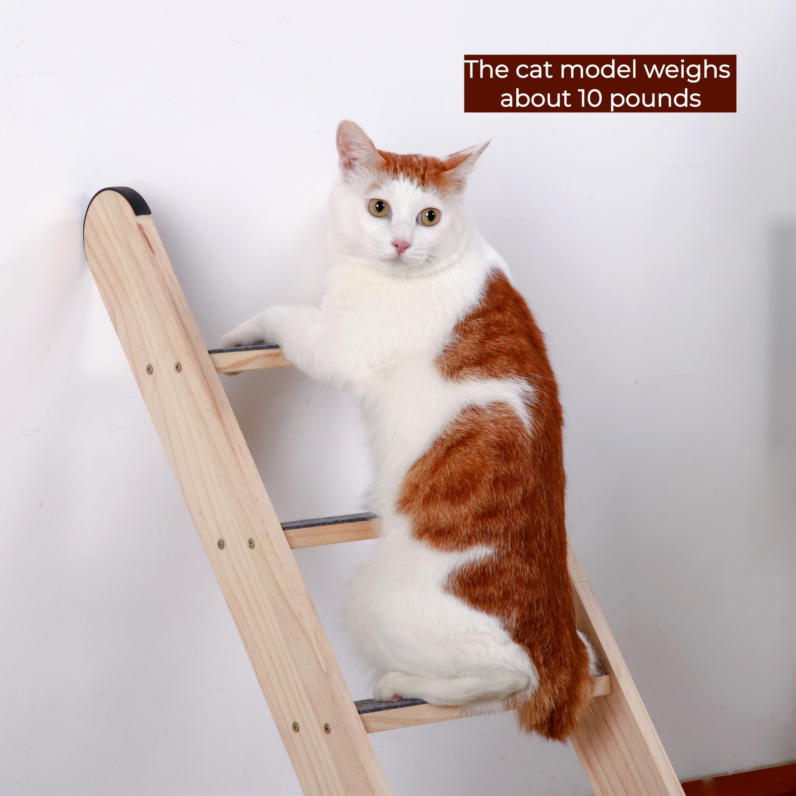 SHENGOCASE space-saving ladder vertical design saves floor space.