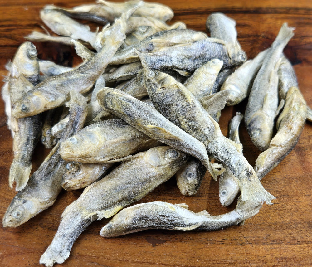 Shepherd Boy Farms minnow treat closeup shows crisp texture and natural flavor