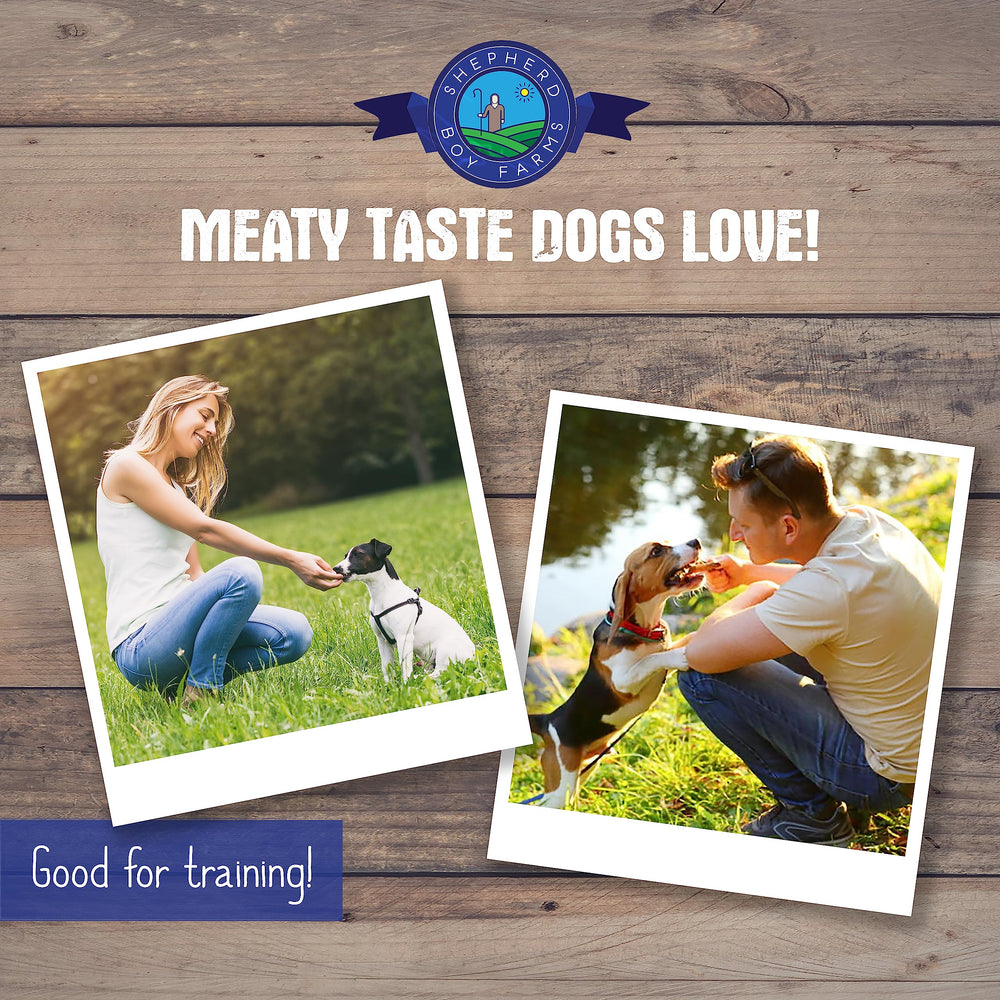 Shepherd Boy Farms training rewards shown with excited dog.